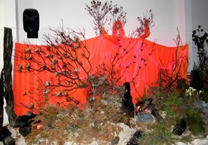 Fynbos en Musiek Expo